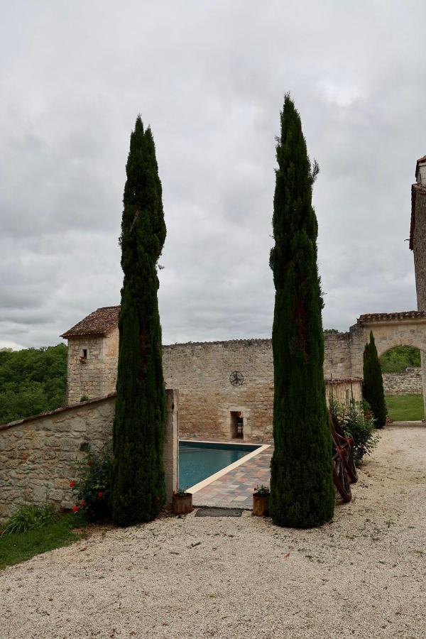 Chateau De Pleneselve Bon-Encontre Exteriér fotografie