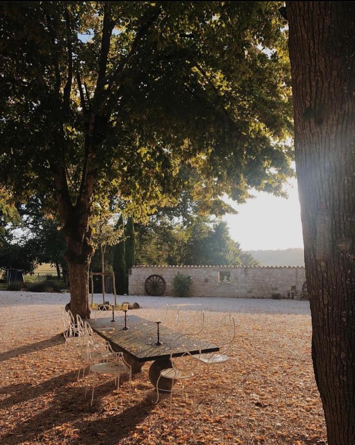 Chateau De Pleneselve Bon-Encontre Exteriér fotografie