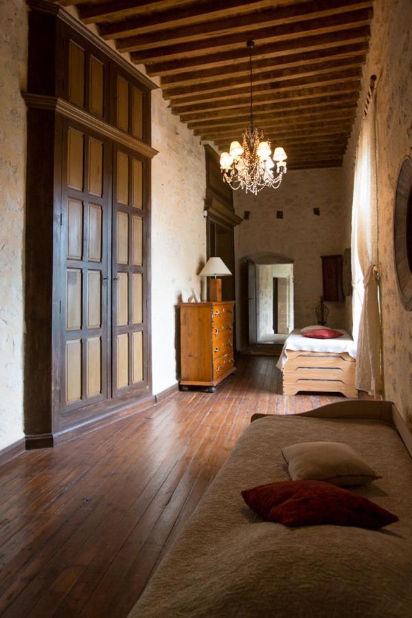 Chateau De Pleneselve Bon-Encontre Exteriér fotografie