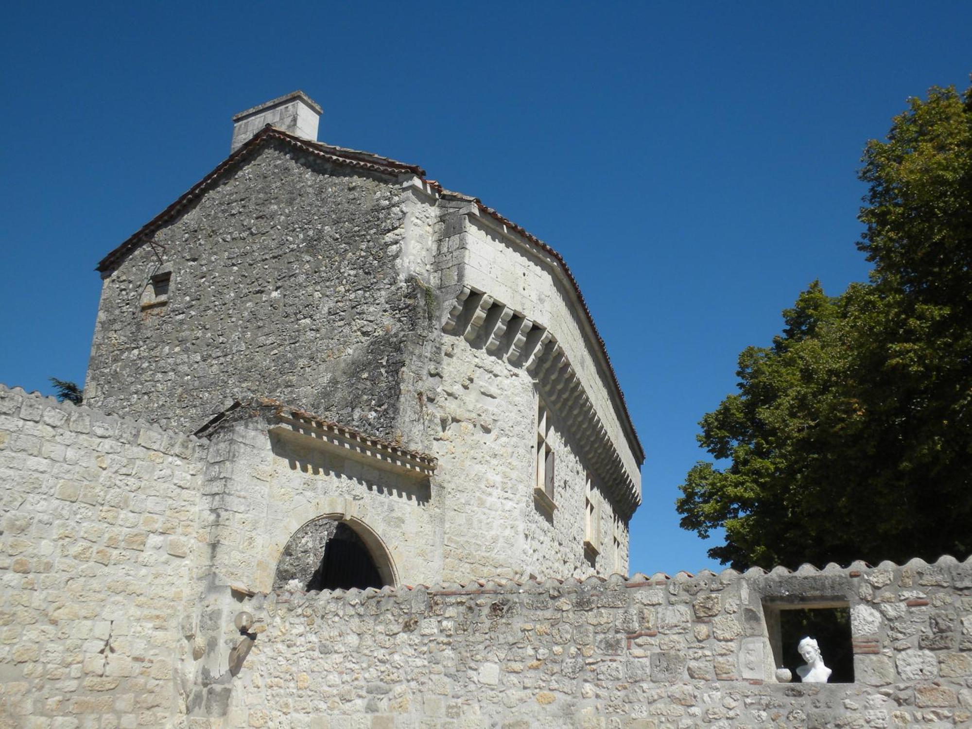 Chateau De Pleneselve Bon-Encontre Exteriér fotografie
