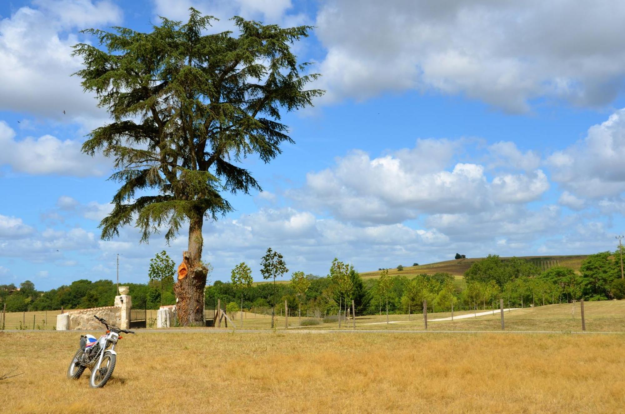 Chateau De Pleneselve Bon-Encontre Exteriér fotografie