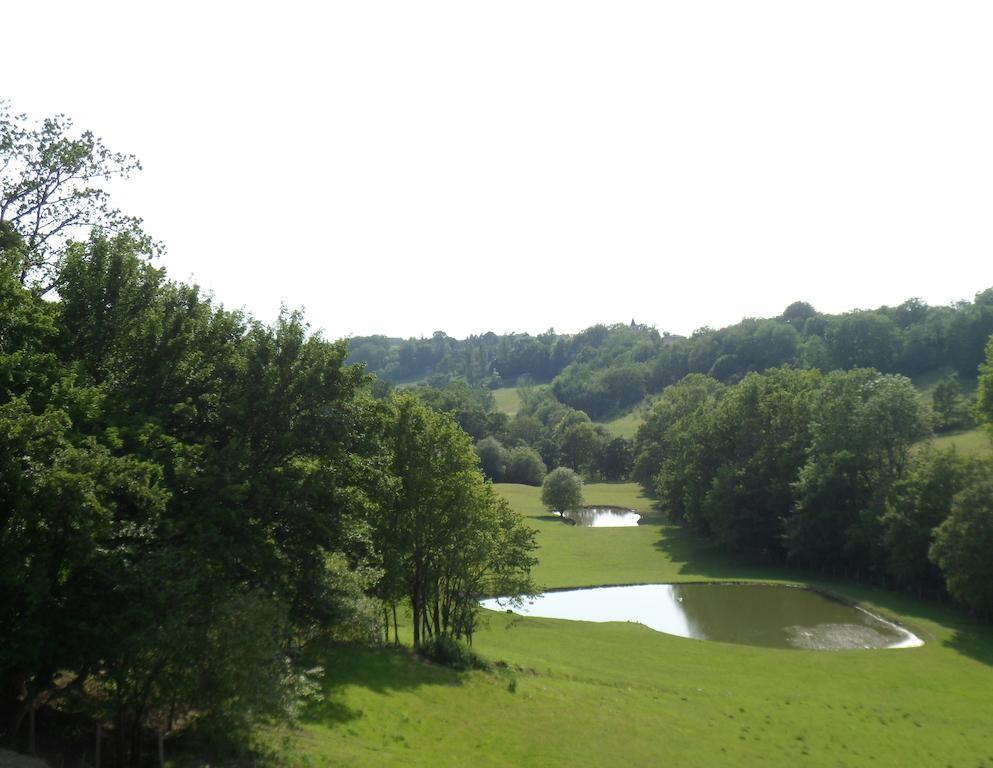Chateau De Pleneselve Bon-Encontre Pokoj fotografie